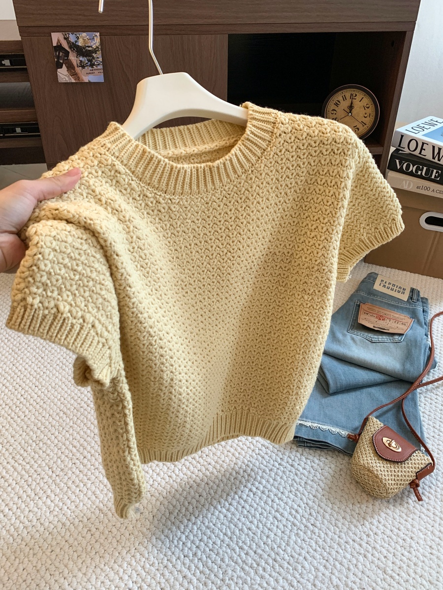 Minimalist Textured Short Sleeve Knit Sweater Women Autumn Pullover Crew Neck Cropped Loose Slimming Thick Top - Image 2